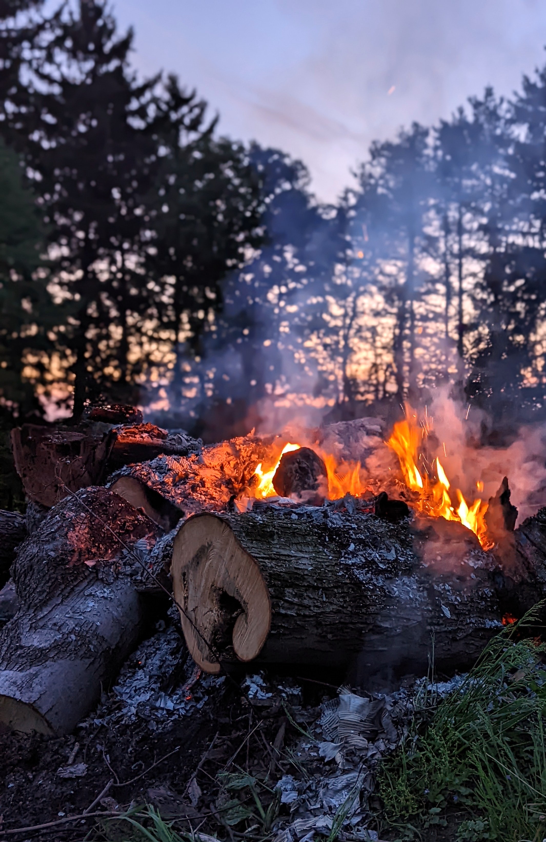 Gather ’Round: Building a Campfire That Warms the Soul