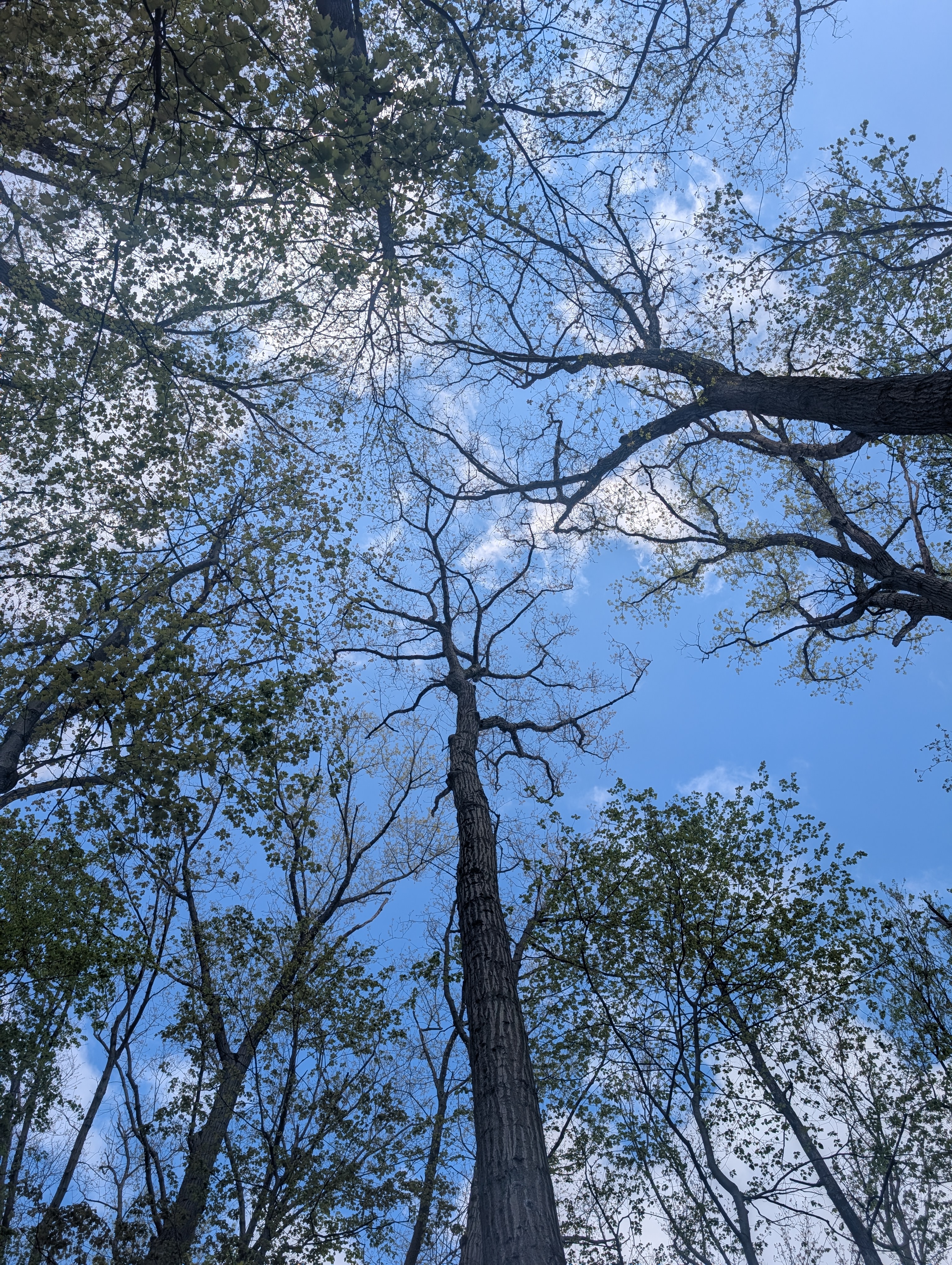 June Is Great Outdoors Month
